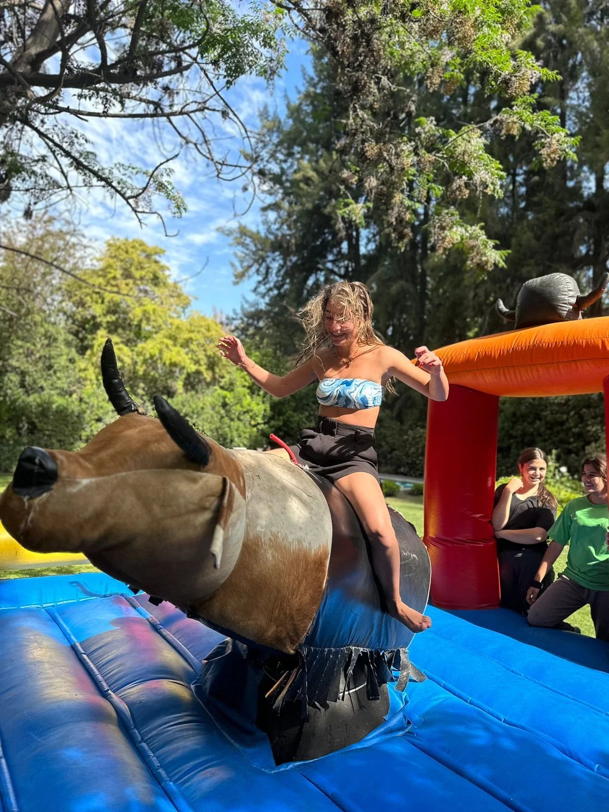 Toro Mecánico Santiago - Precio $200.000 todo incluido Toro Mecánico arriendo Santiago precio $200.000 - Operador incluido, transporte gratis
