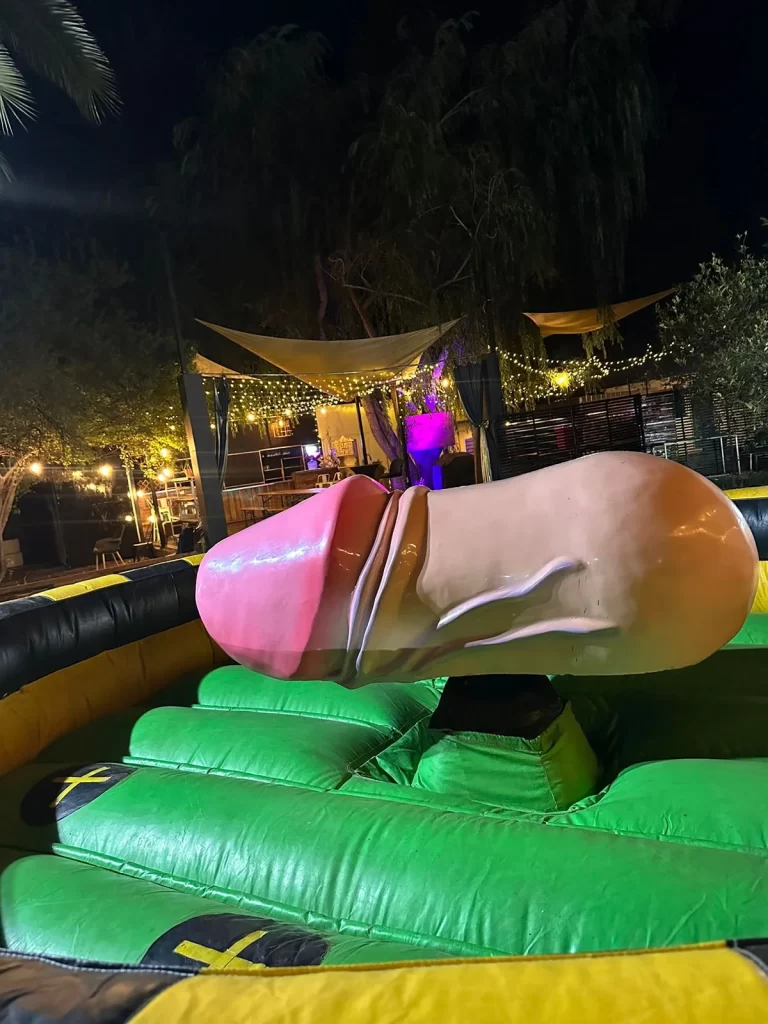 Pene Mecánico - Arriendo en Santiago